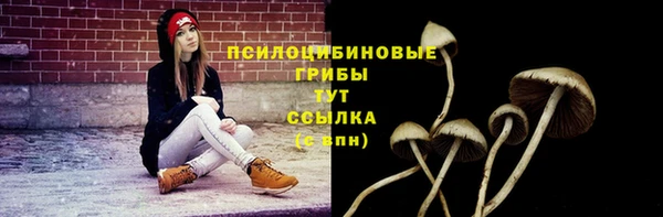 бошки Абинск